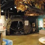 Sigal Museum