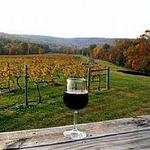 Northern Virginia Wineries