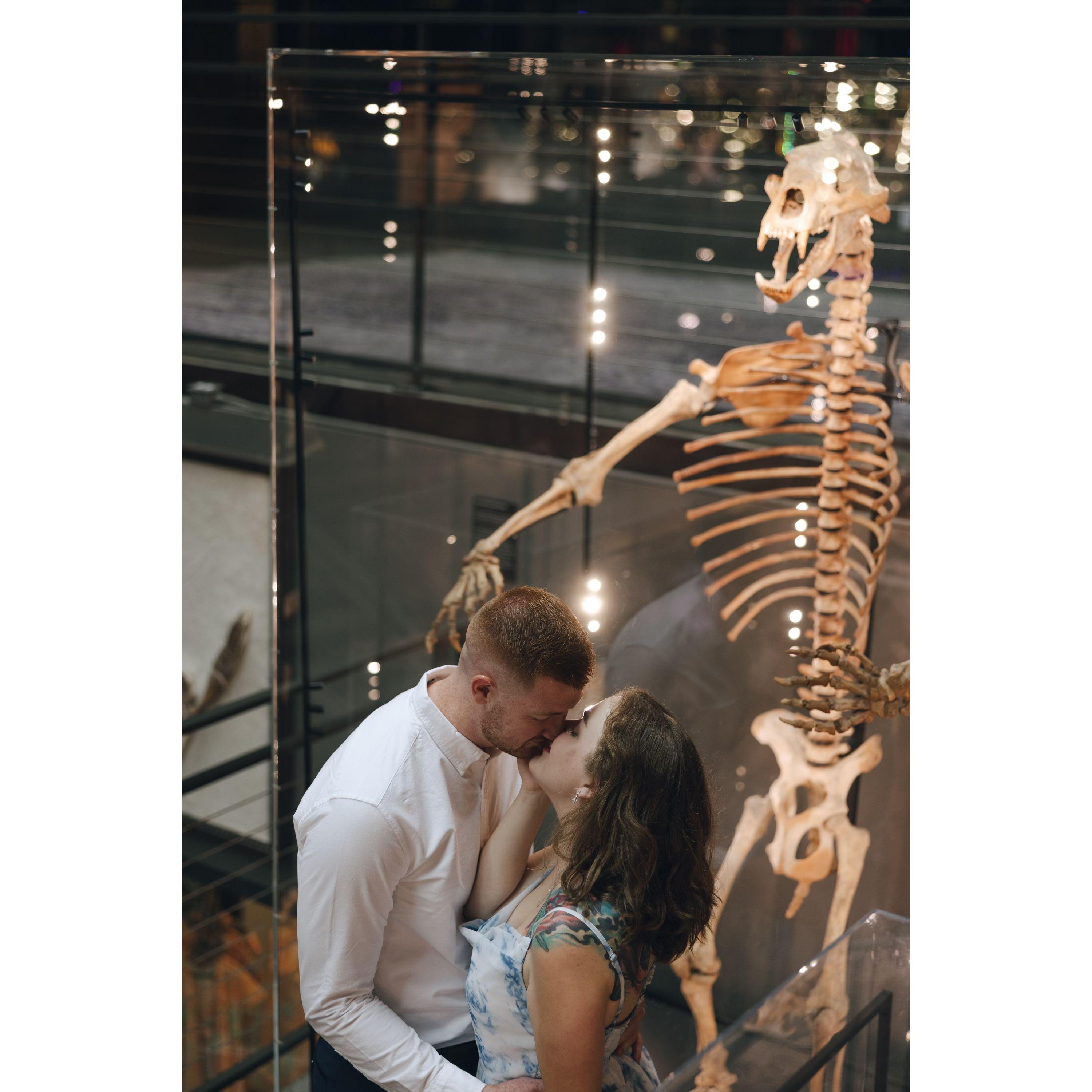 Engagement in Savannah 2024