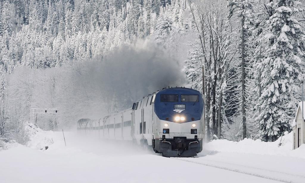 The Wedding Website of Elena Edington and Paul Campbell