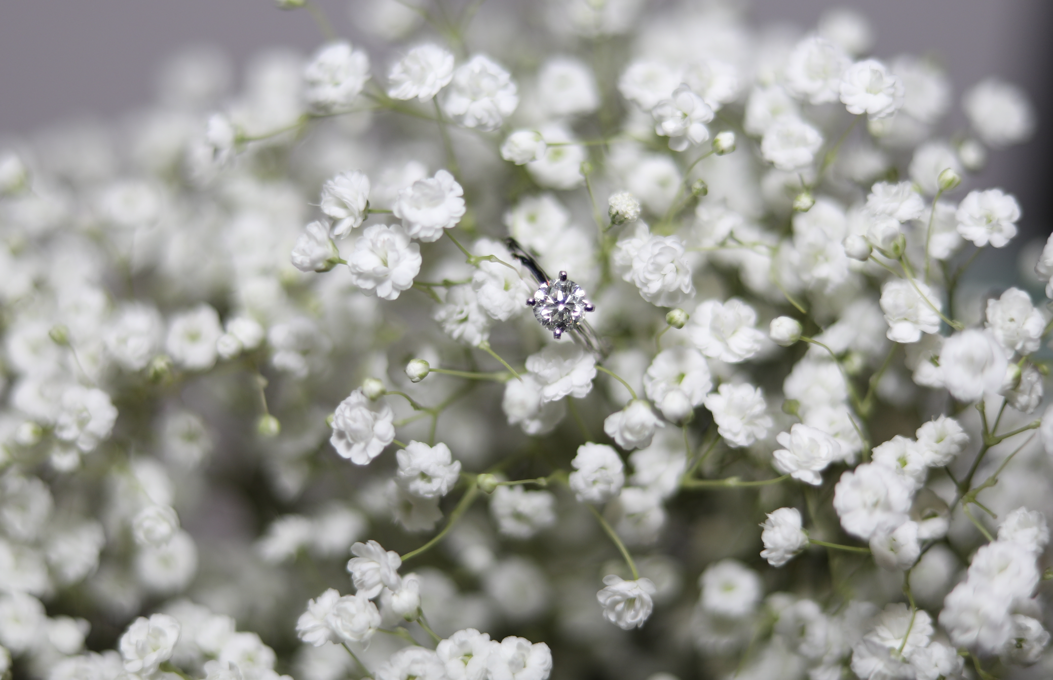 The Wedding Website of Lindsay Eastman and Jake Ostoyic