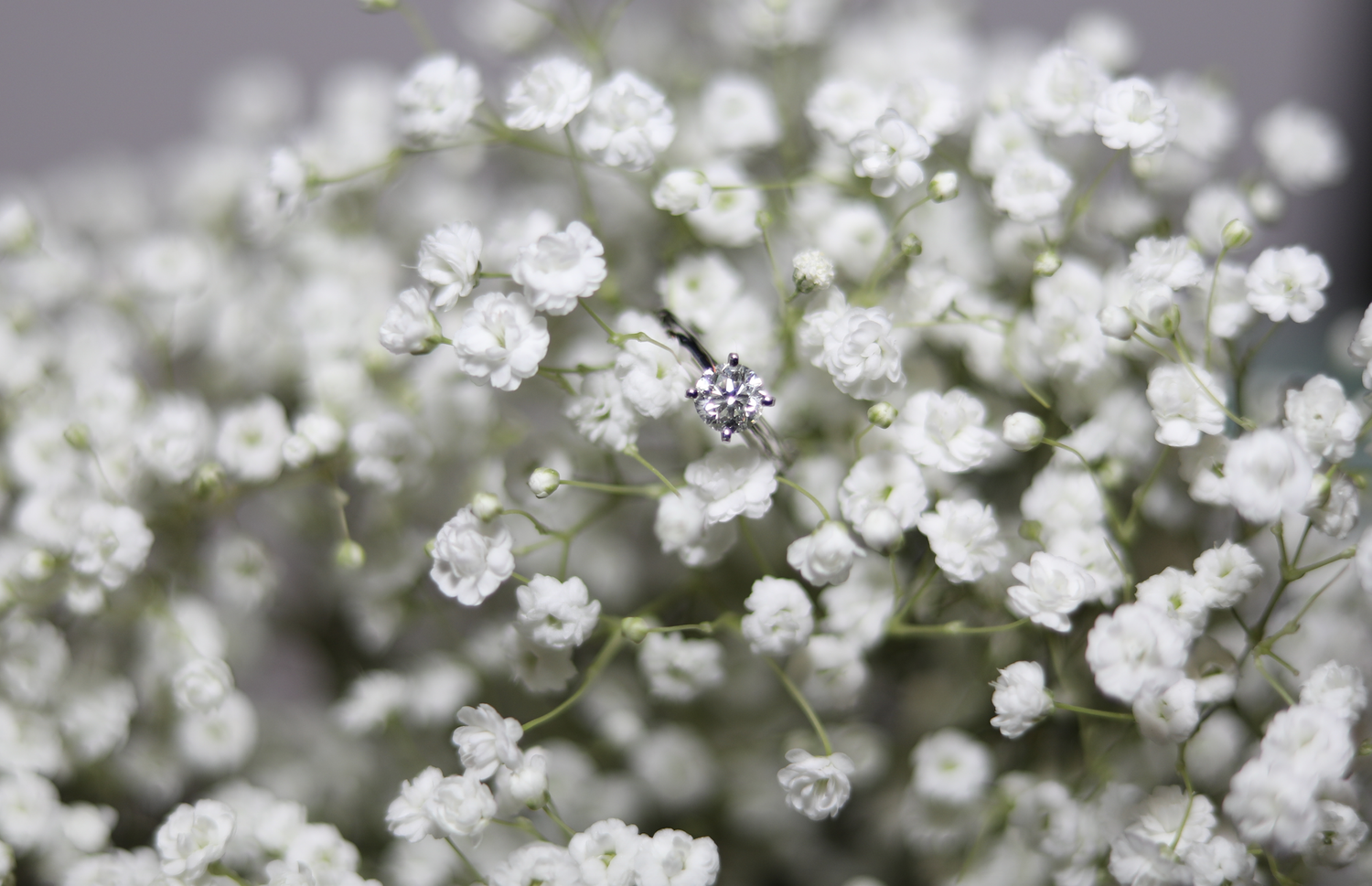 The Wedding Website of Lindsay Eastman and Jake Ostoyic