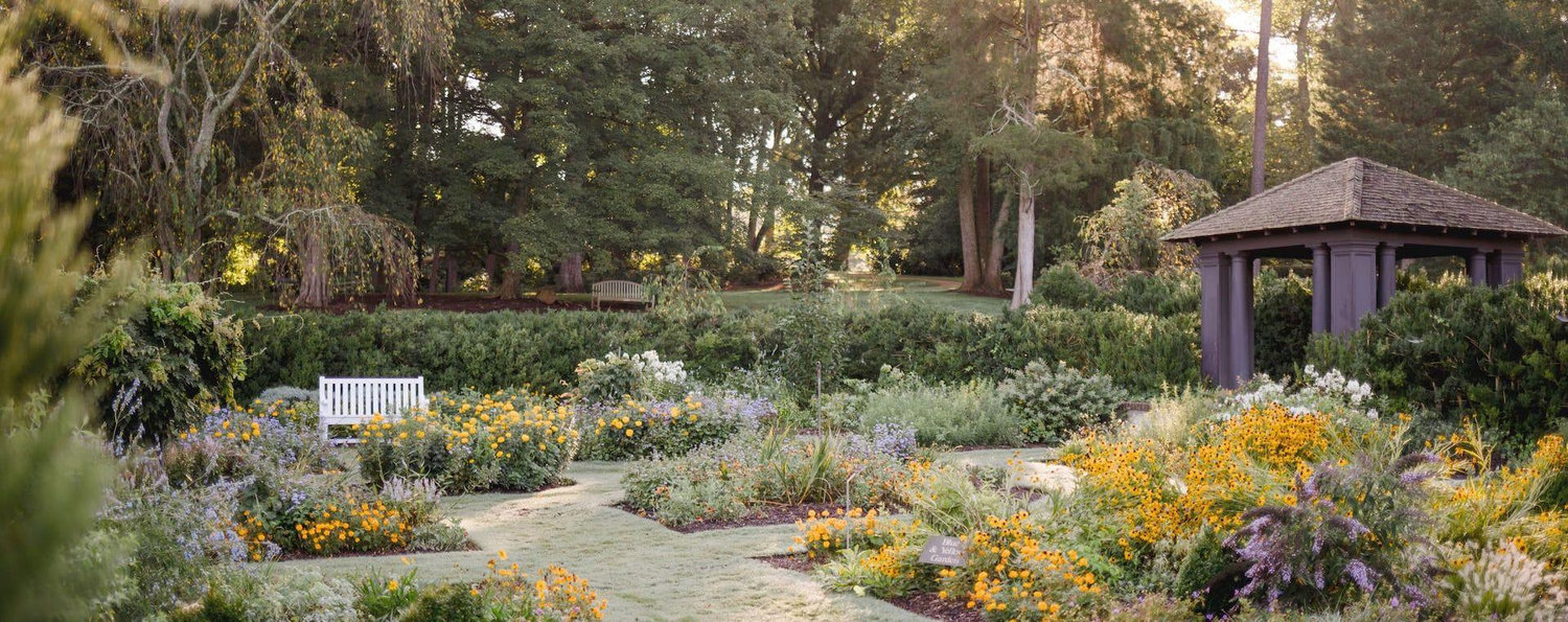 The Wedding Website of Tatiyana Adkins and Daniel Kubrynski