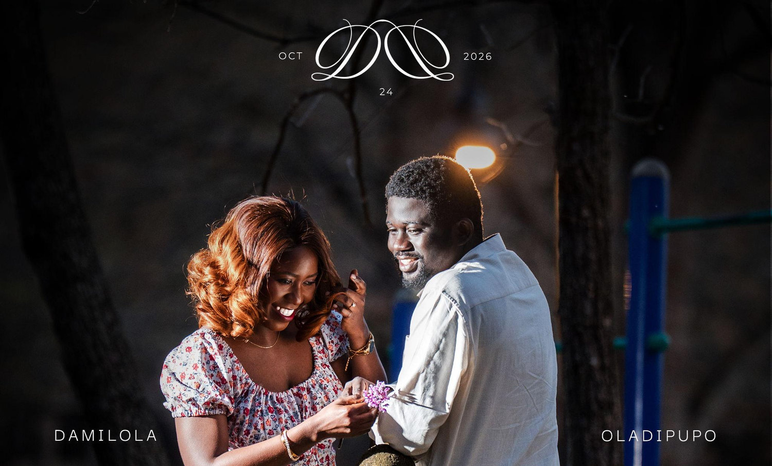 The Wedding Website of Damilola Oni and Oladipupo Ogolo