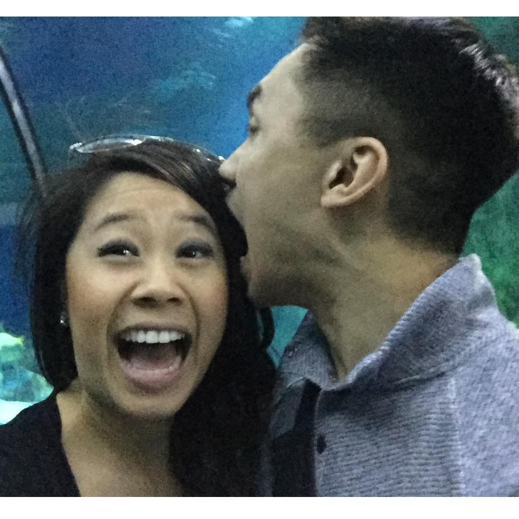 At Sea World in San Diego