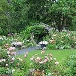 Blithewold Mansion, Gardens & Arboretum