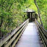 Six Mile Cypress Slough Preserve