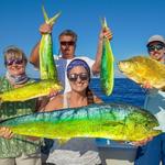 Fish For Fresh Mahi Mahi