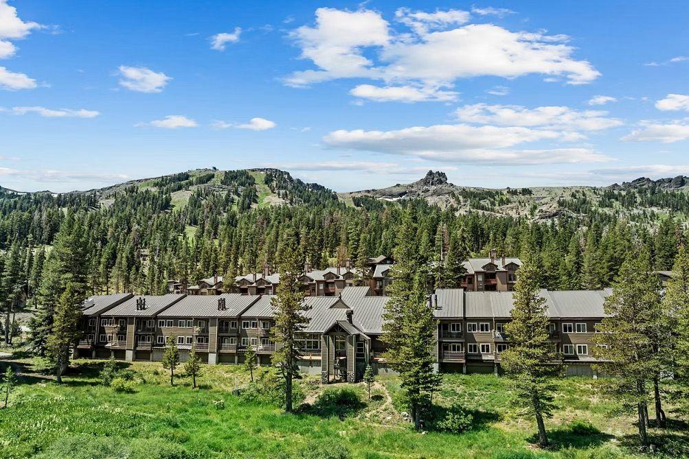 The Wedding Website of Sophia Paschall and Scott Robinson