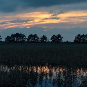 Donate to Coastal Prairie Conservancy