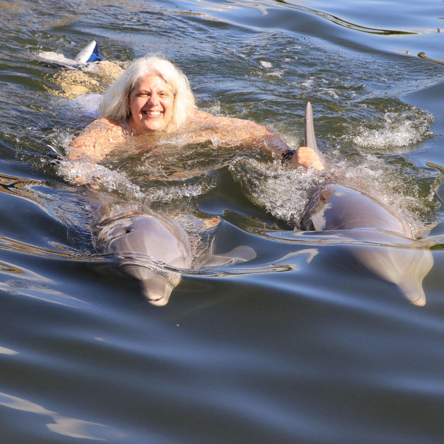 The dolphins tried to pull Lisa out to sea. When she started pretending to be a superhero, they quickly swam her back to the other dumb humans.