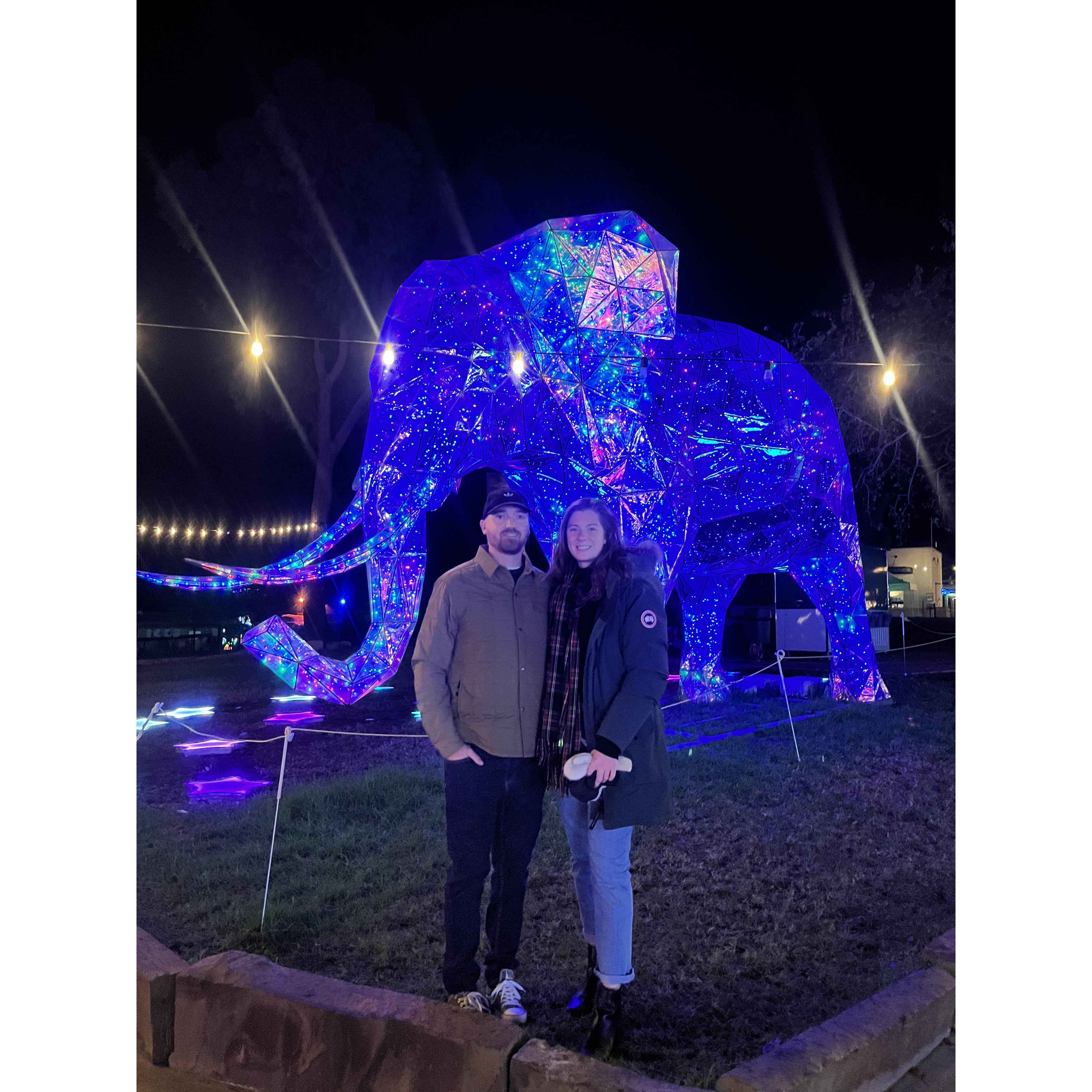 Christmas time Zoo Lights