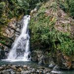 El Yunque National Forest