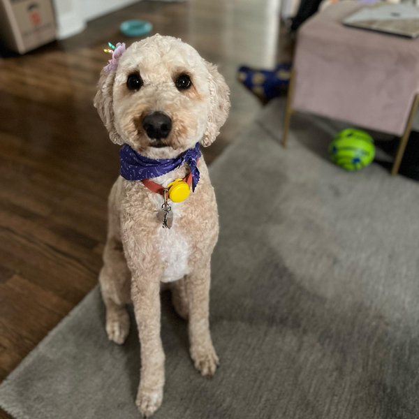 Penny's Care Fund