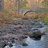 Rockefeller State Park Preserve