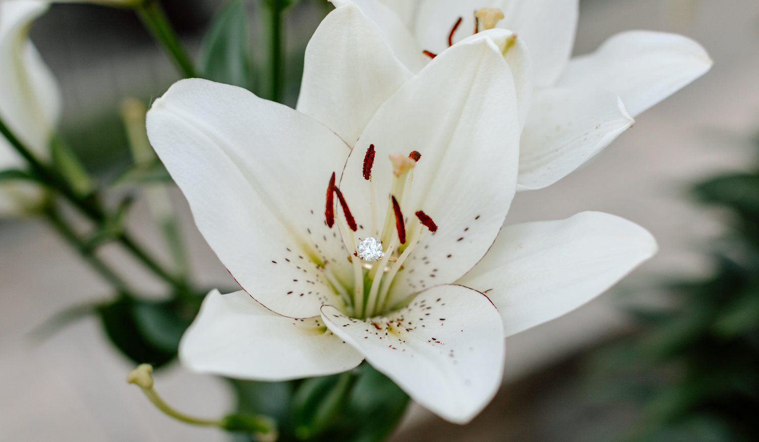 Footer image