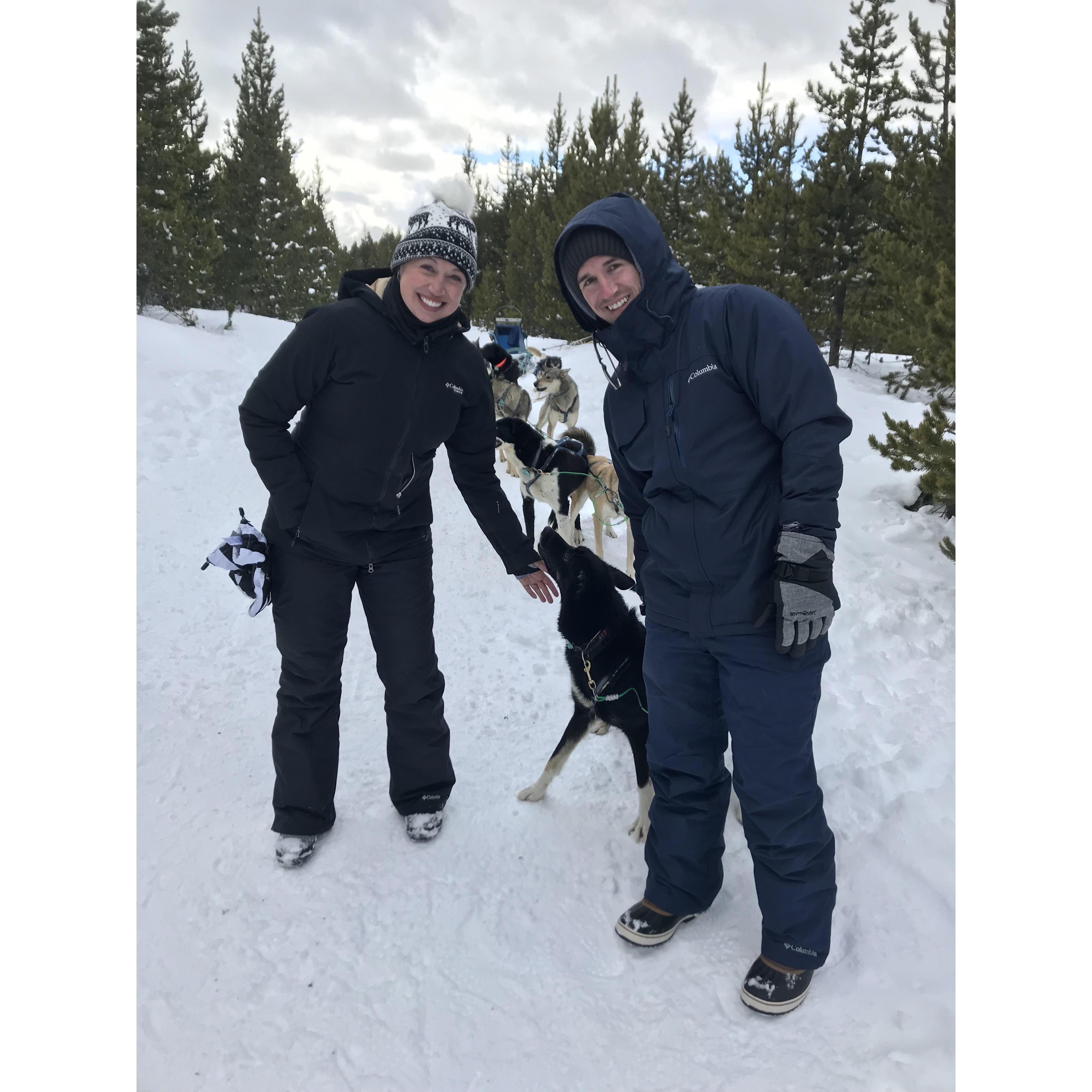 Dog sledding Big Sky, MT.