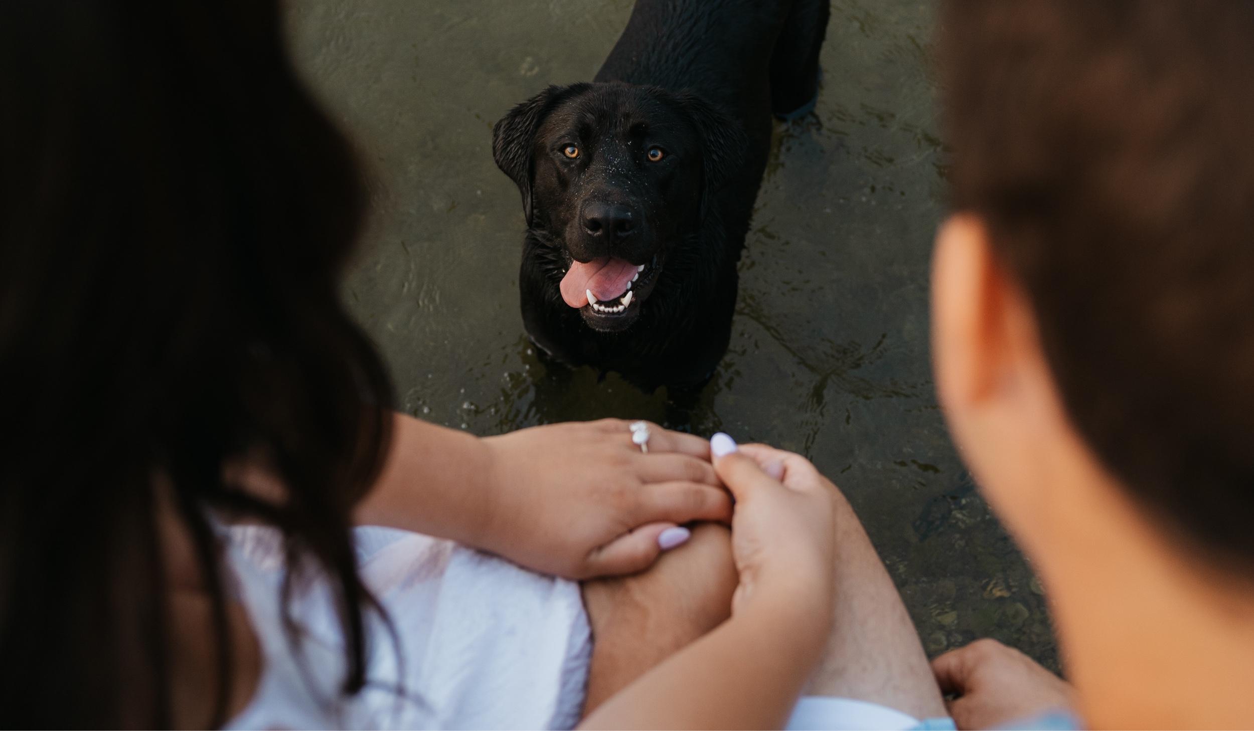 Hero Slideshow Image 4