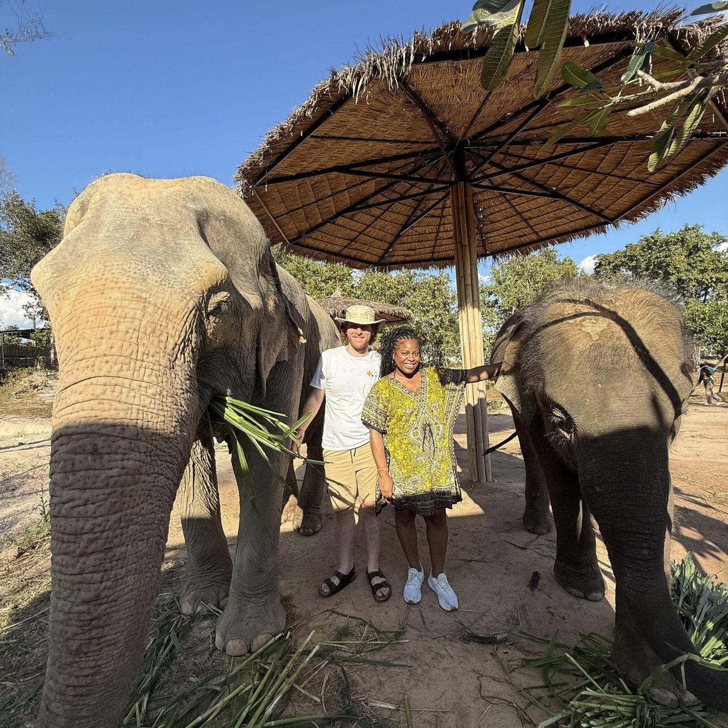 Petting and feeding these gorgeous creatures in an ethical elephant sanctuary in Chiang Mai, Thailand 2025
