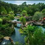 Cedar Lakes Woods and Gardens