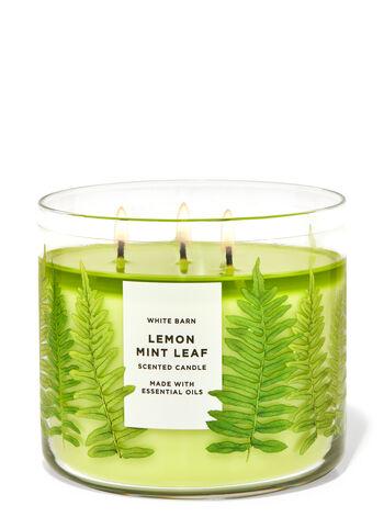 White Barn Lemon Mint Leaf 3-Wick Candle