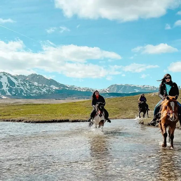Mountain Horseback Ride