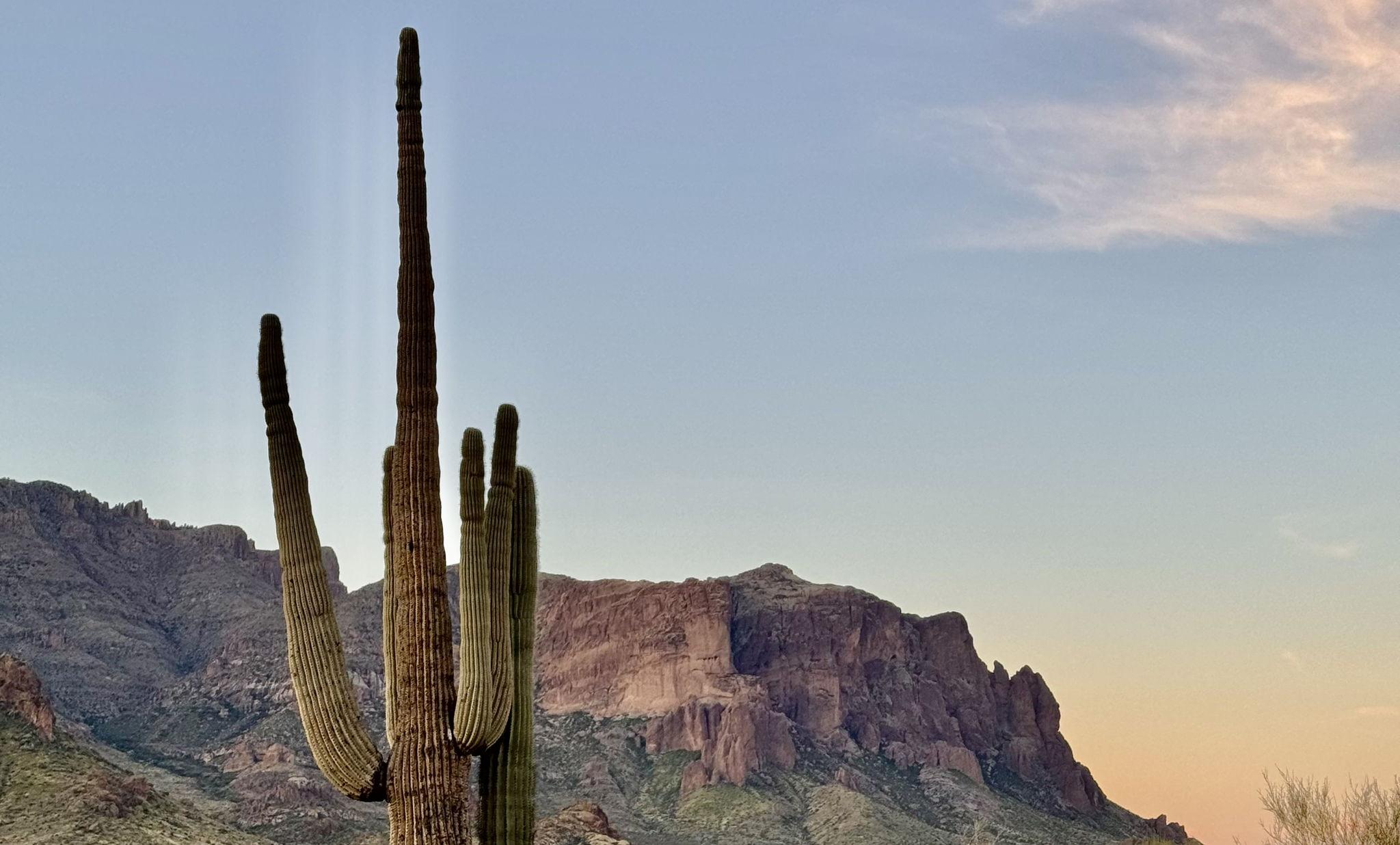 The Wedding Website of Summer Vogel and Benjamin Moran