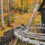 Wilderness Run Alpine Coaster