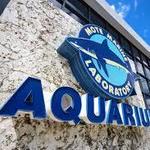 Mote Marine Laboratory & Aquarium