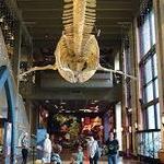 Grand Rapids Public Museum