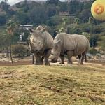 San Diego Zoo Safari Park