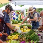 Boise Farmer’s Market