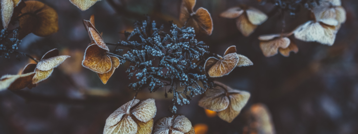 The Wedding Website of Jessica Cox and Terry Myers