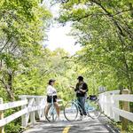 Cape Cod Rail Trail