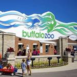 The Buffalo Zoo