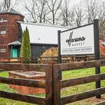 Harana Market Filipino restaurant