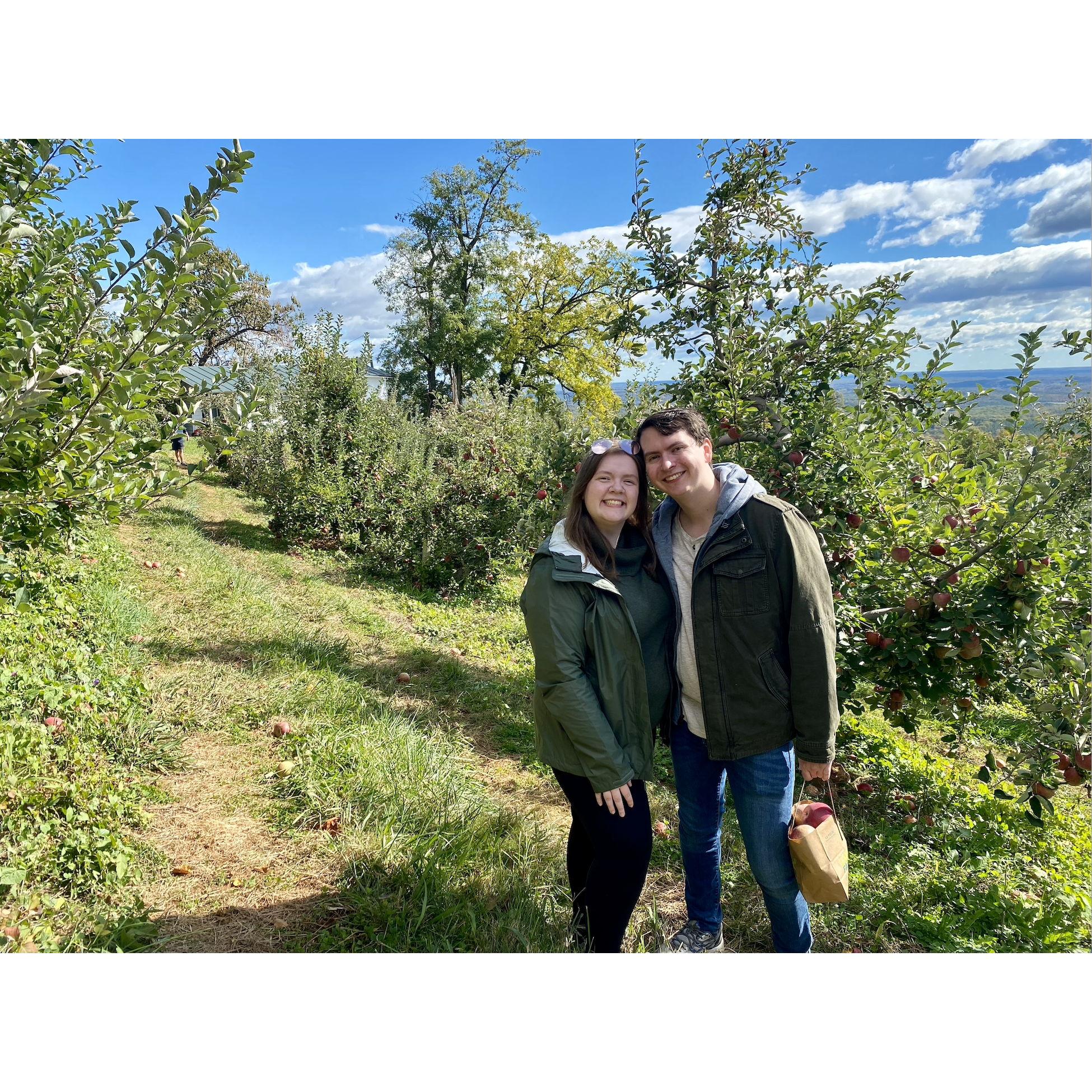 Apple picking at Carter Mountain!