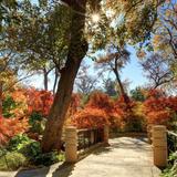 The Dallas Arboretum and Botanical Garden