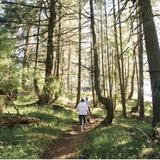 Turtleback Mountain Preserve