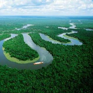 Honeymoon Fund - Peruvian Amazon Experience