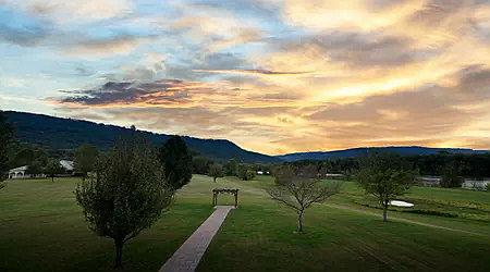 The Wedding Website of Dakota Carter and Donnie Kitchens