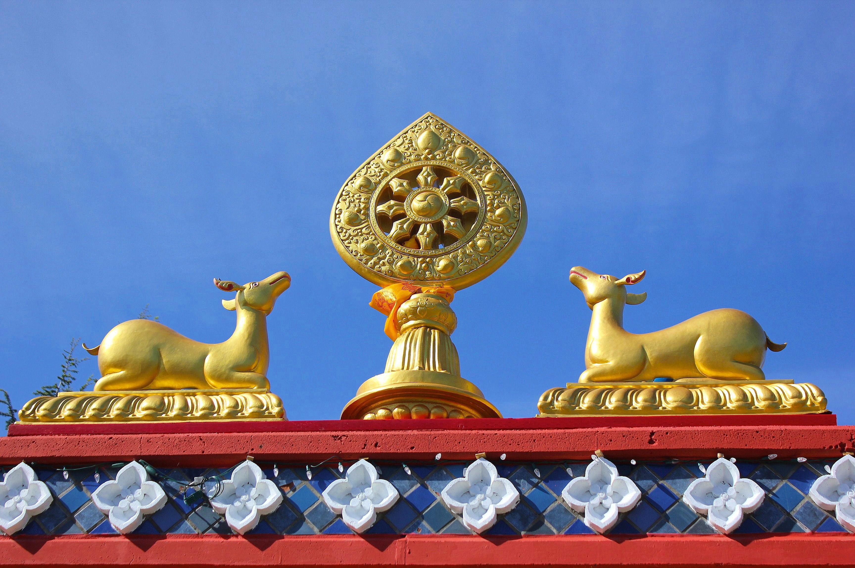 The Wedding Website of Lobsang Dorjee and Rinchin Droma