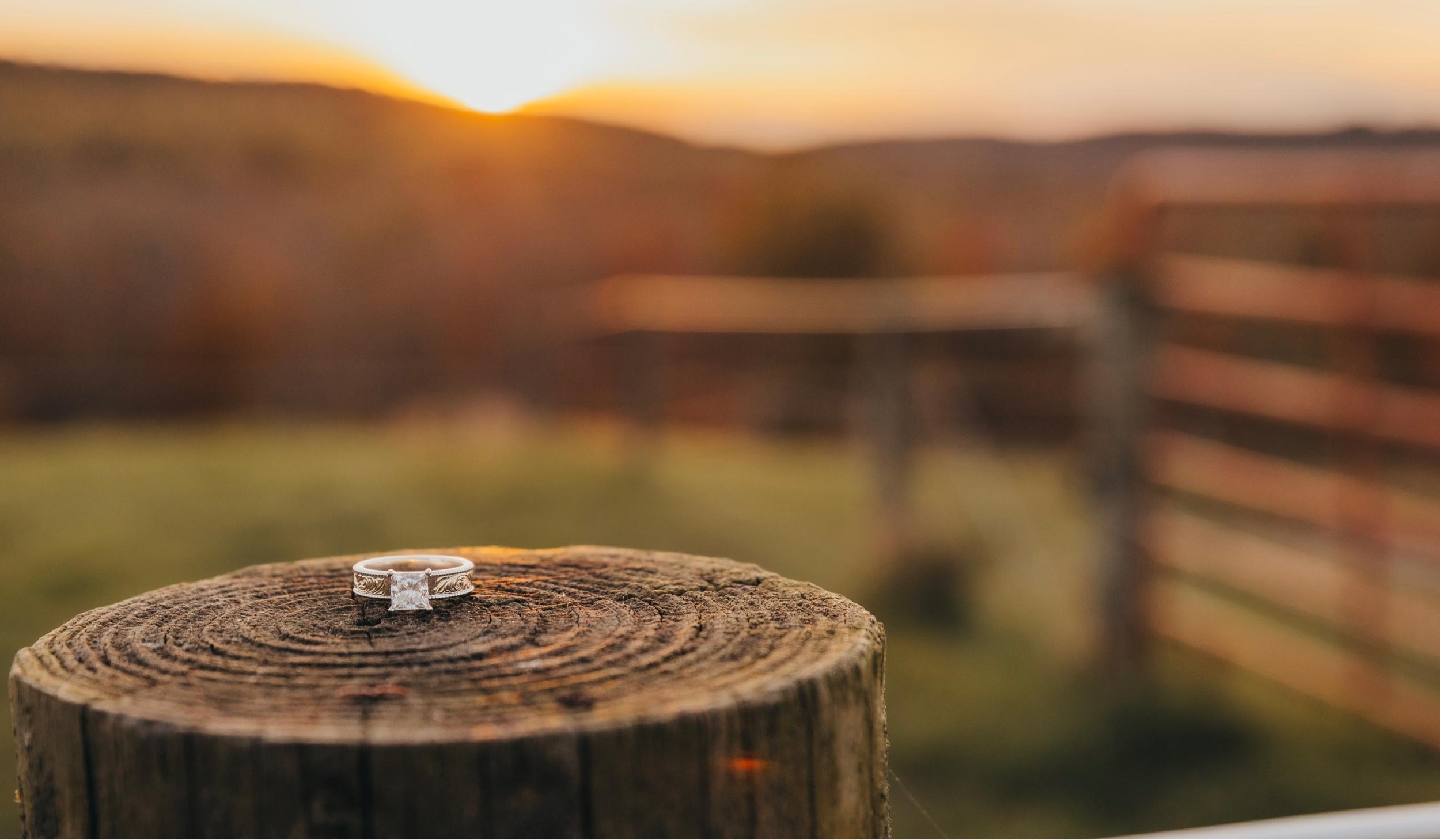 The Wedding Website of Jenna Heitzenrater and Chance Fryer