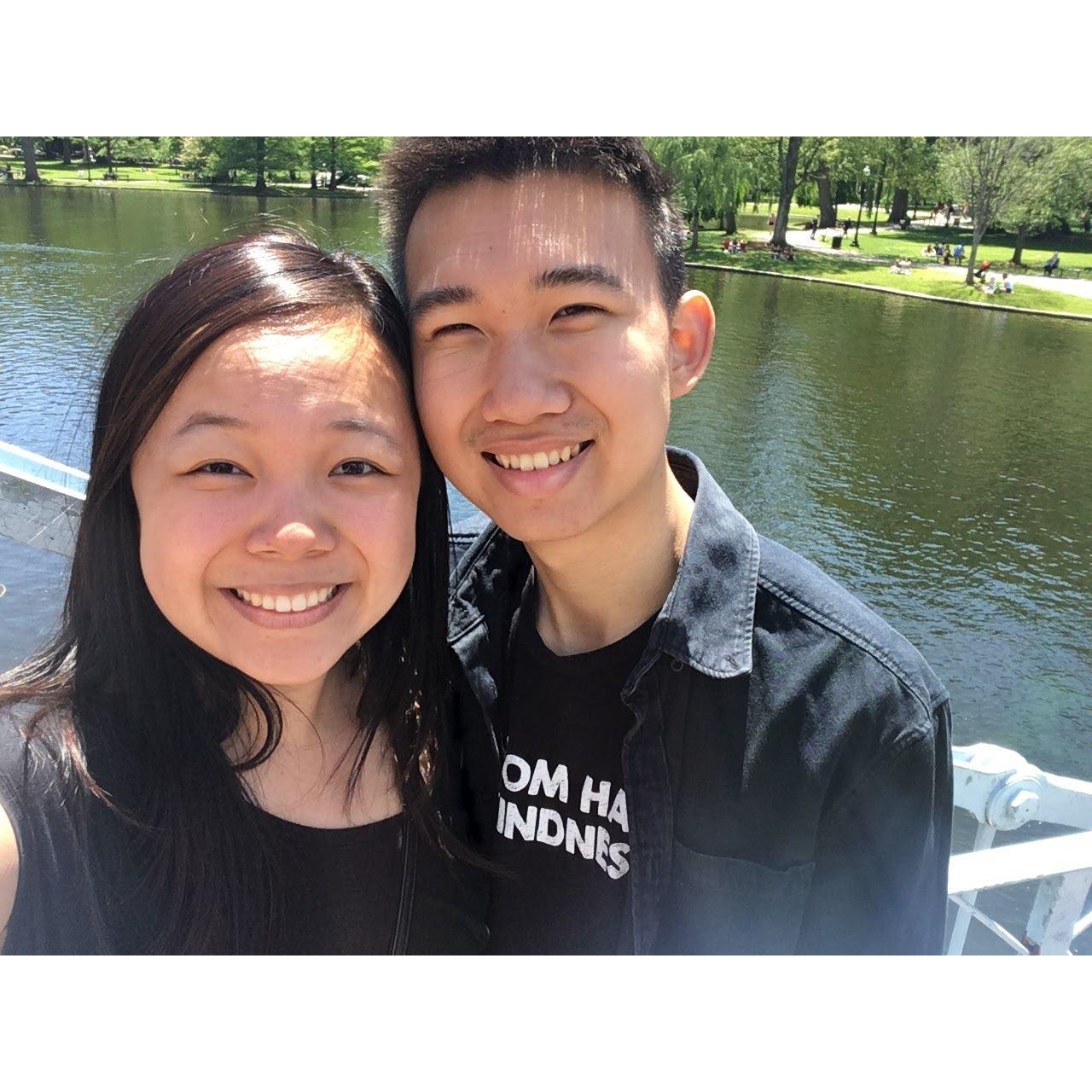 Searching for ducklings at Boston Commons