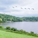 Shelley Lake Park