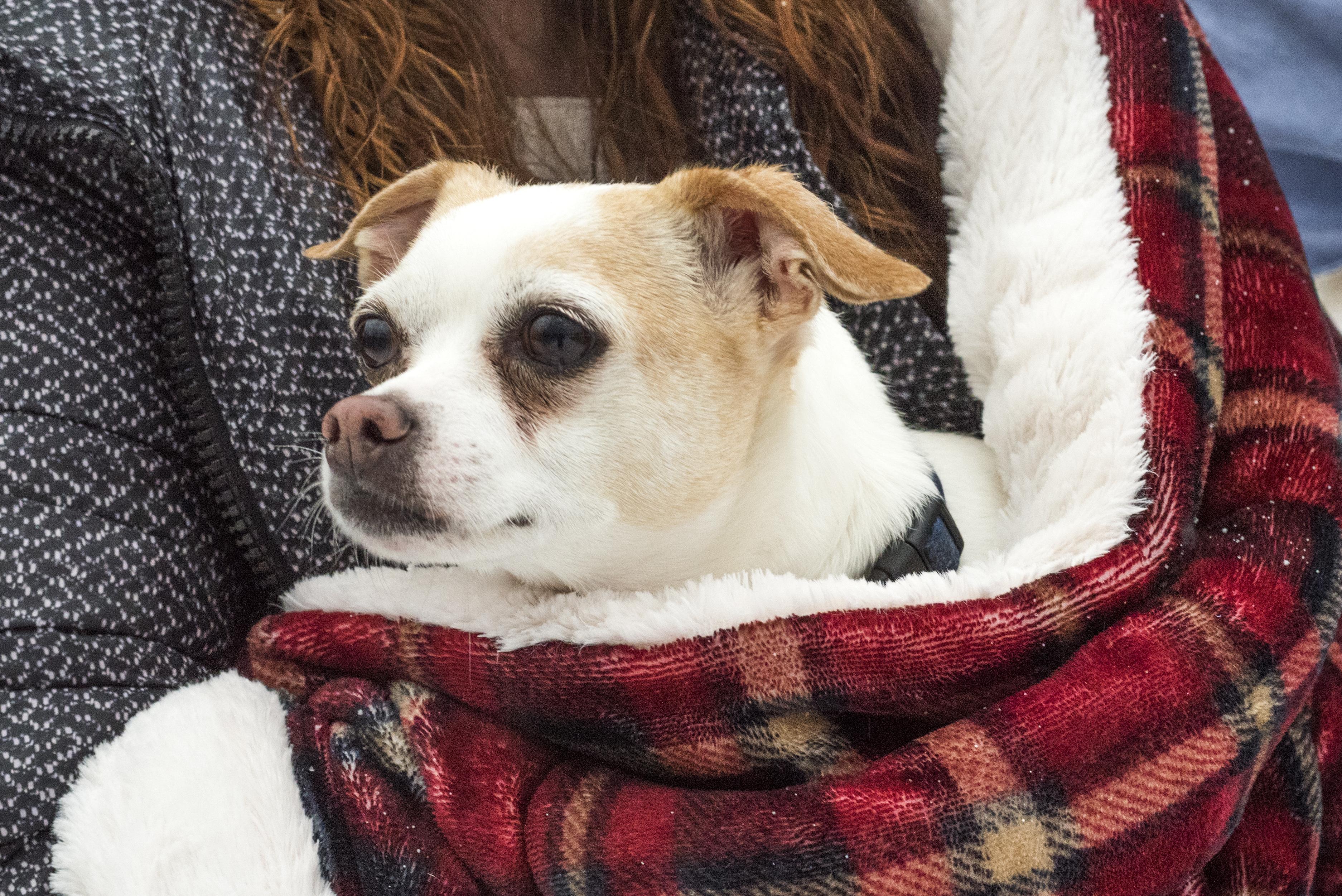 The Wedding Website of Tristan Randall and Joseph Biros