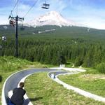 Alpine Slide Skibowl