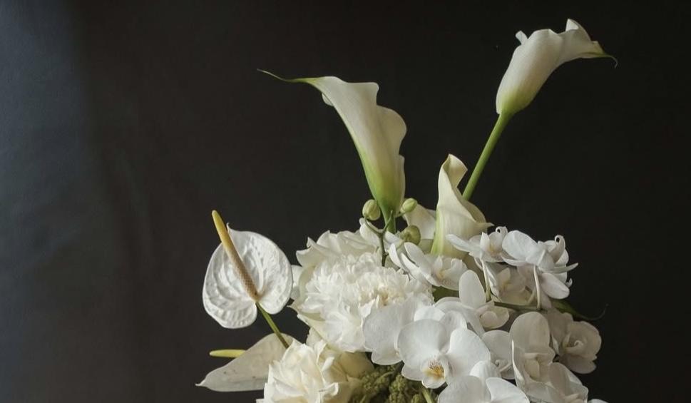 The Wedding Website of Alia Saleck and Kamryn Peterson