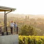 Ponzi Vineyards