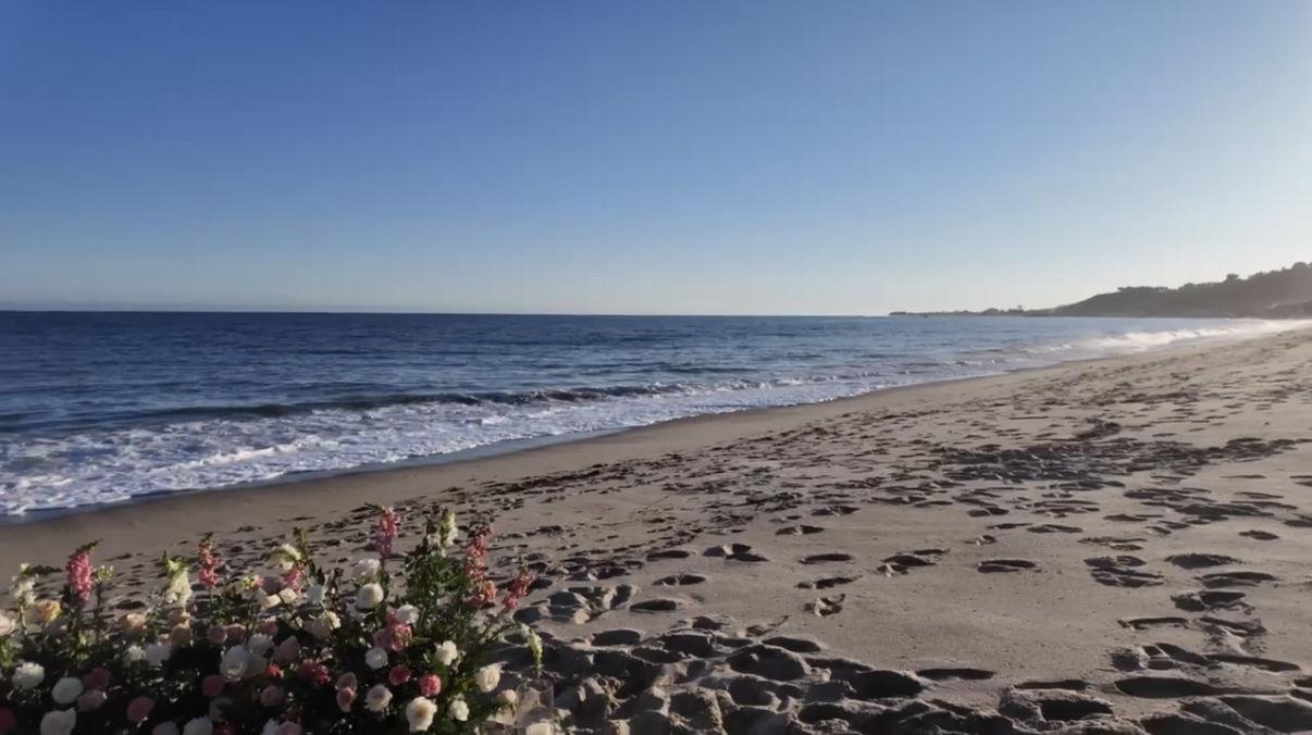 The Wedding Website of Amy Lugo and Andrew Chavez